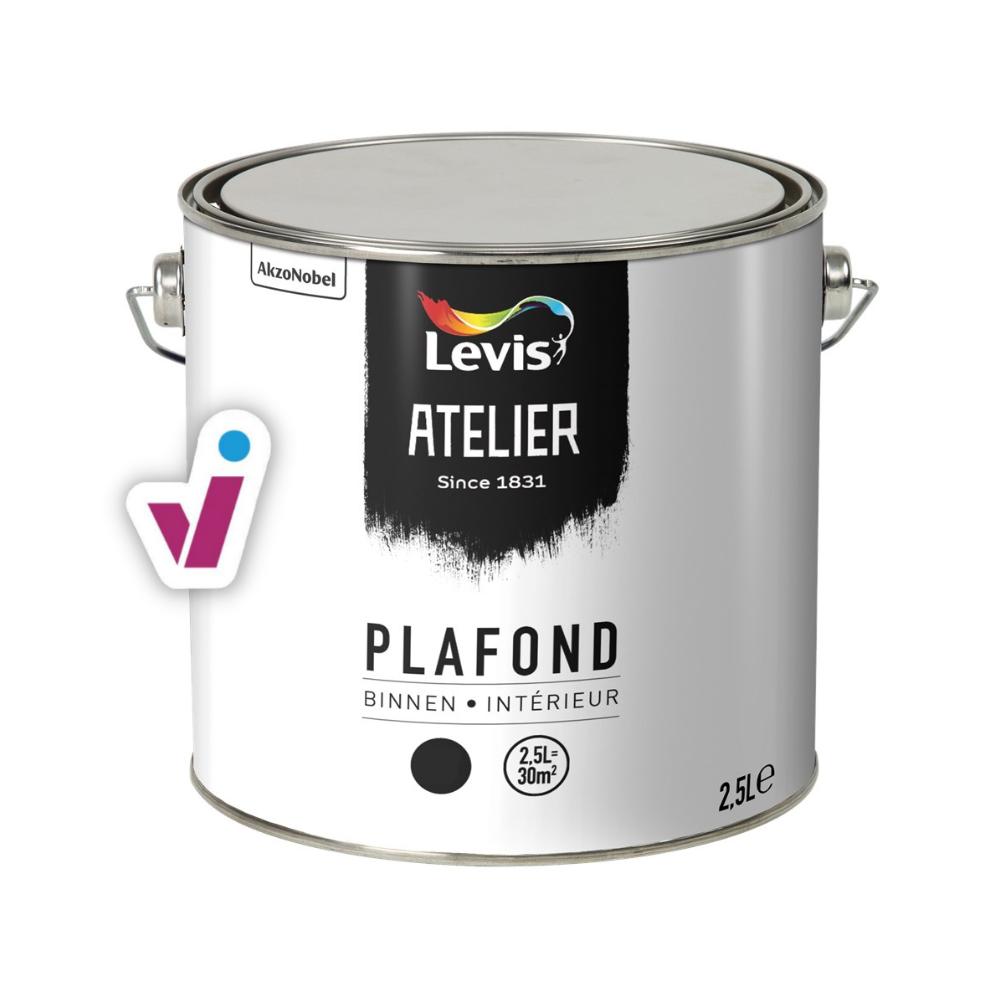 Levis Atelier Plafond