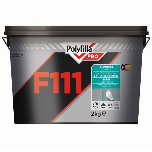 Polyfilla Pro F111 - Enduit de Rebouchage Extra Performant